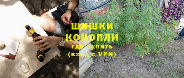 дмт Арсеньев