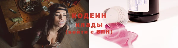 дмт Арсеньев