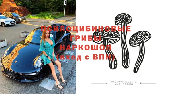 Альфа ПВП Аркадак