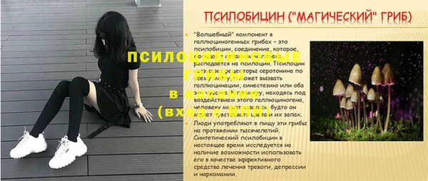 дмт Арсеньев