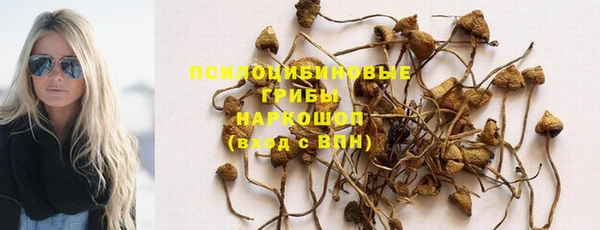 mix Армянск