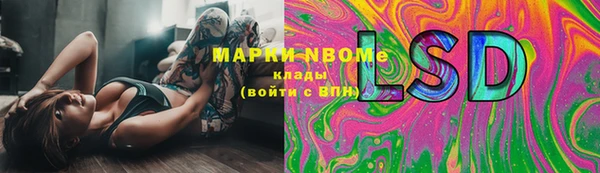 Альфа ПВП Аркадак