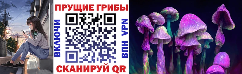 Псилоцибиновые грибы Psilocybe Белорецк
